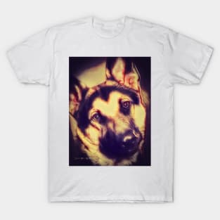 You Looking At Me?  -  Graphic 2 T-Shirt